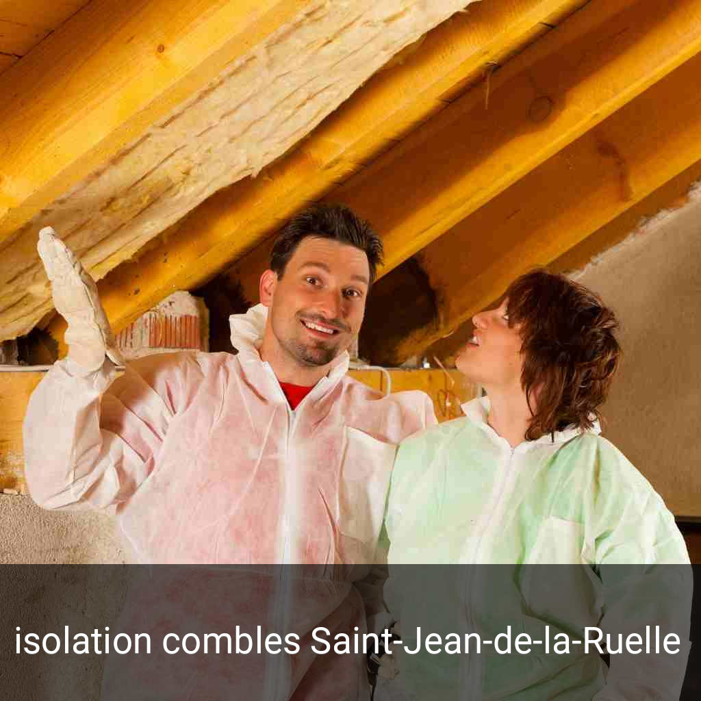 isolation combles Saint-Jean-de-la-Ruelle